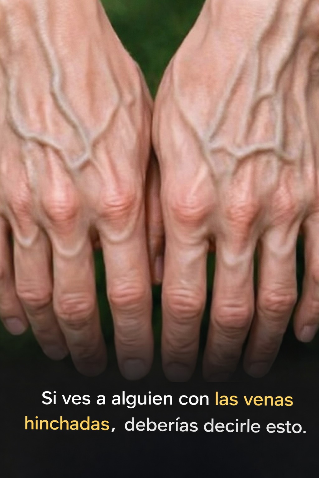 661417051 2678163255878931 4092850883340660838 n