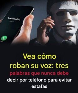 772854108 122232825878316097 7136586120495818485 n