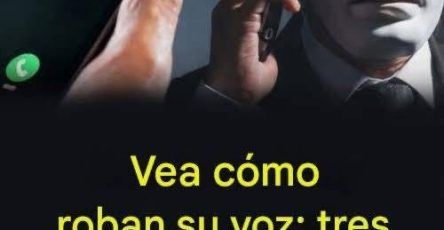 772854108 122232825878316097 7136586120495818485 n