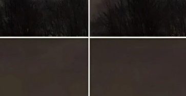 775280802 122194512536942085 8895099419297924247 n
