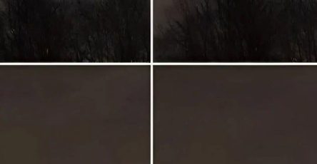 775280802 122194512536942085 8895099419297924247 n