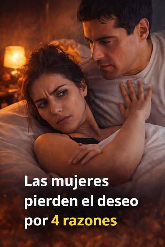 WhatsApp Image 2026 04 17 at 23.41.00