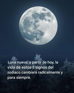 WhatsApp Image 2026 08 15 at 07.22.55