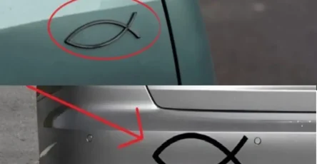 Que signifie le petit symbole en forme de poisson que lon voit a larriere de certaines voitures et pourquoi lutilise t on.jpg
